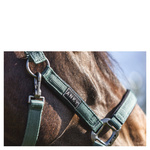 Kantar ANKY® Grooming