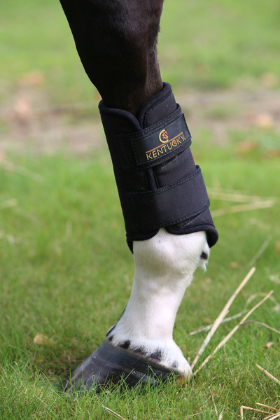 Ochraniacze treningowe Kentucky Horsewear Turnout Boots 3D Spacer - przody
