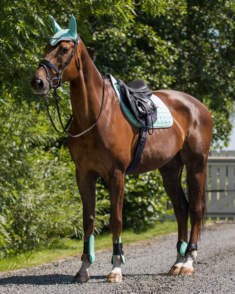 Ochraniacze tylne QHP