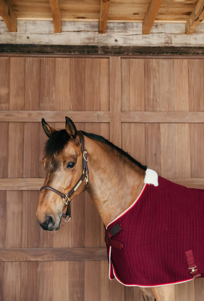 Derka osuszająca Kentucky Horsewear PROtherm