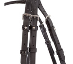 Ogłowie z nachrapnikiem szwedzkim Kavalkade Reyna