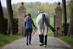 Podkładki stajenno-transportowe pod owijki Kentucky Horsewear