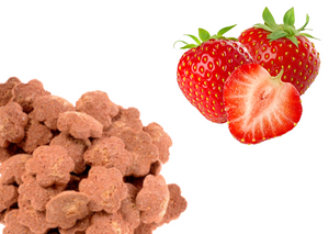 Smakołyki dla koni Equiherbs - Truskawka