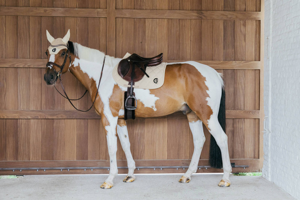 Czaprak skokowy Kentucky Horsewear Wave