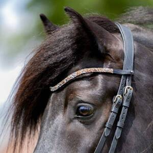 Naczółek opadający Kavalkade Button