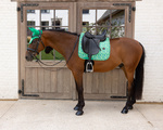 Czaprak ujeżdżeniowy Kentucky Horsewear Velvet Printing