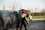 Derka siatkowo-osuszająca Kentucky Horsewear Mesh Combo Cooler Sheet