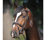 Ogłowie anatomiczne Kavalkade Ivy