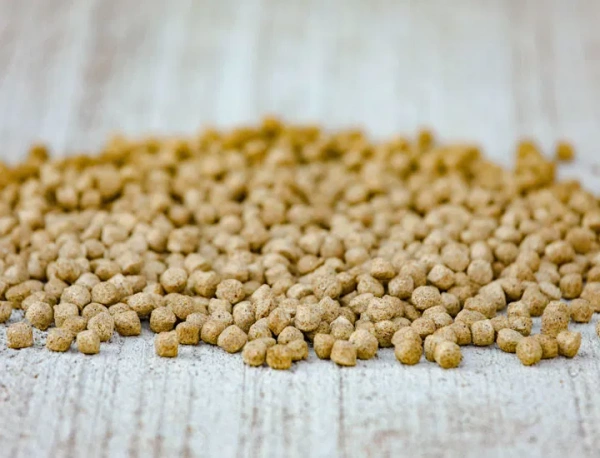 Pasza dla odsadków Cavalor Start & Go Soft 20kg