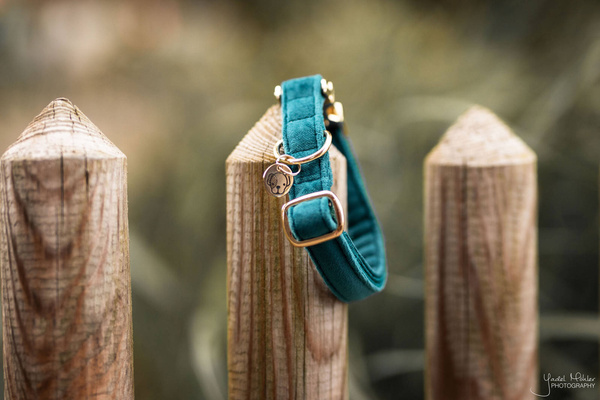 Obroża dla psa Kentucky Dogwear Velvet