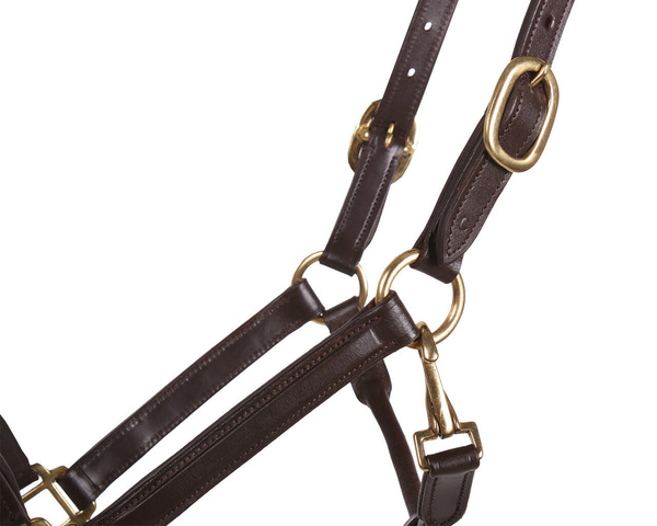 Kantar skórzany QHP Delicate