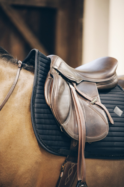 Czaprak wszechstronny Kentucky Horsewear Pearls
