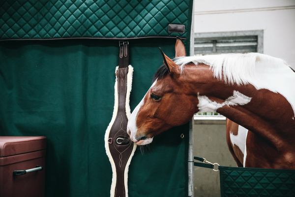 Kurtyna na boks Kentucky Horsewear Stable Curtain Waterproof