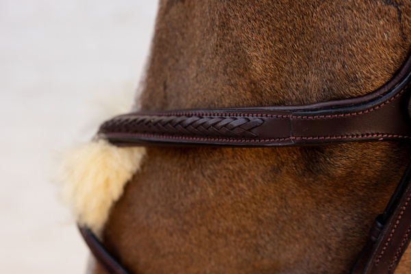 Ogłowie z nachrapnikiem meksykańskim Dy'on New EnglishCollection Plaited NEAOAV