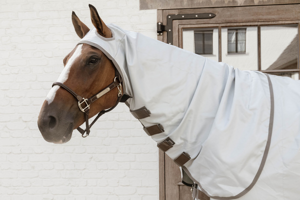 Derka siatkowa przeciw owadom z kapturem dla koni z egzemą Kentucky Horsewear Eczema Rug