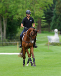 Ochraniacze treningowe z futrem na przednie nogi Kentucky Horsewear Turnout Boots Solimbra 