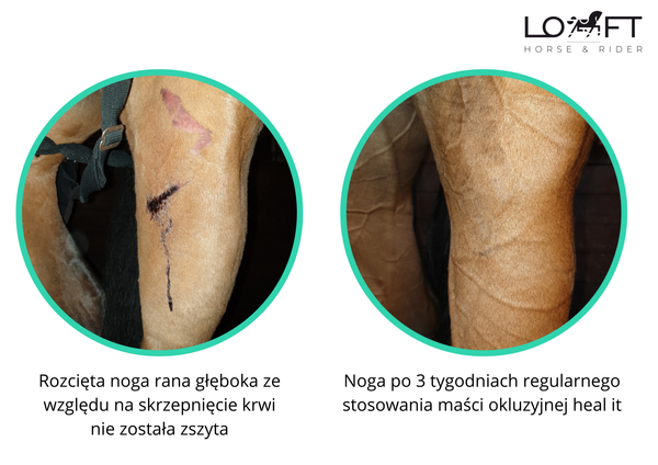 Maść gojąca na rany, otarcia i podrażnienia skóry koni Jump It Heal it