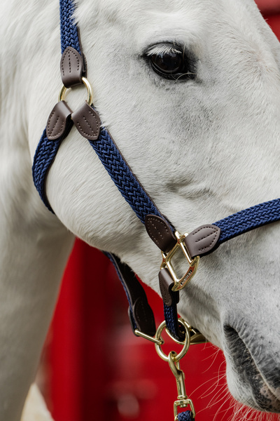 Kantar dla konia Kentucky Horsewear Plaited Nylon