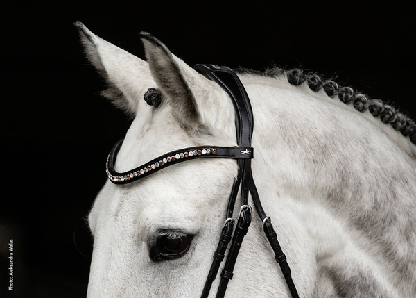 Naczółek opadający Schockemöhle Sports Diamond