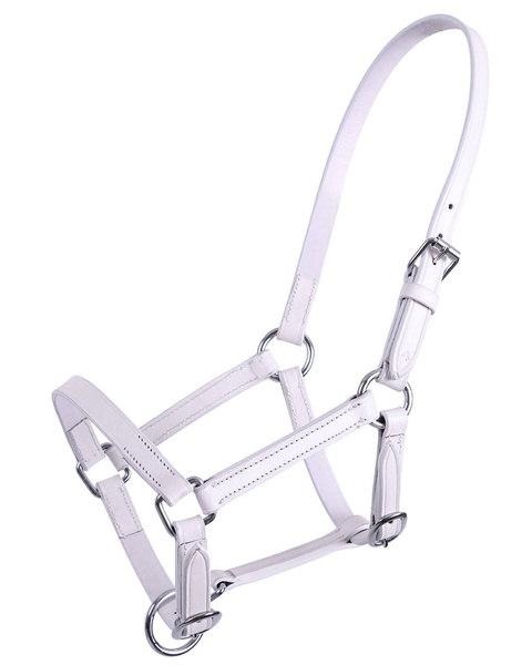 Kantar skórzany dla źrebaka QHP Chico