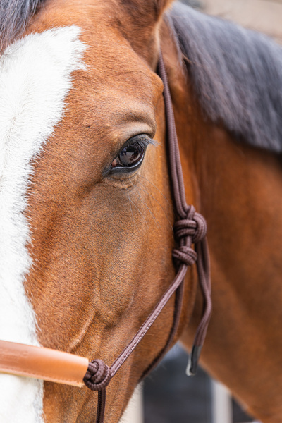 Kantar sznurkowy Grooming Deluxe