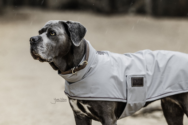 Derka dla psa Kentucky Dogwear Raincoat