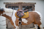 Czaprak wszechstronny Kentucky Horsewear Onion Quilt Neon Leather