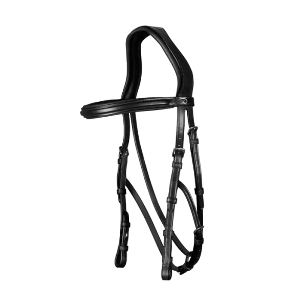 Ogłowie do Hackamore Dy'on New English Collection NEFADX