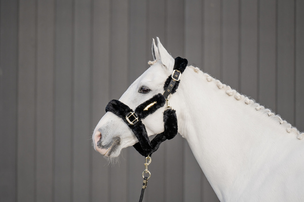 Kantar obszyty w całości syntetycznym futrem Kentucky Horsewear Sheepskin Shipping