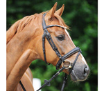 Ogłowie z nachrapnikiem kombinowanym Kavalkade Cortica Vegan