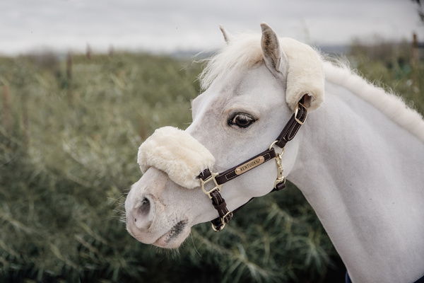 Kantar dla kucyka Kentucky Horsewear Leather Sheepskin