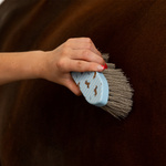 Zestaw do czyszczenia konia QHP Stable buddy