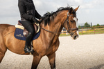 Bat ujeżdżeniowy Velari Guidance Rubber Grip 100 cm