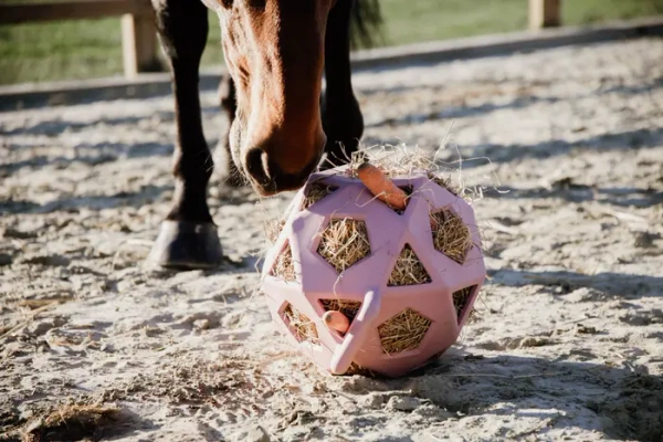Piłka na siano dla konia Kentucky Horsewear Relax Horse Play & Hay Ball