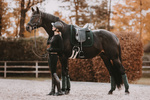 Czaprak ujeżdżeniowy Kentucky Horsewear Velvet Pearls