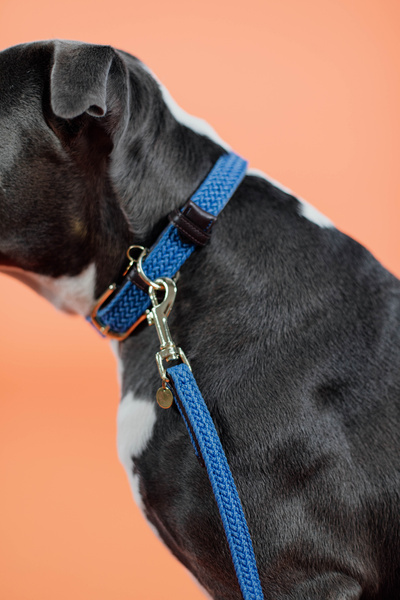 Obroża dla psa Kentucky Dogwear Plaited Nylon