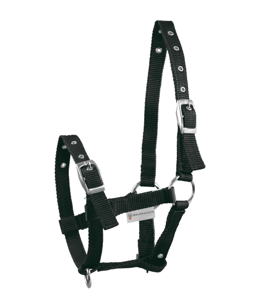 Kantar dla źrebaka Waldhausen Triple