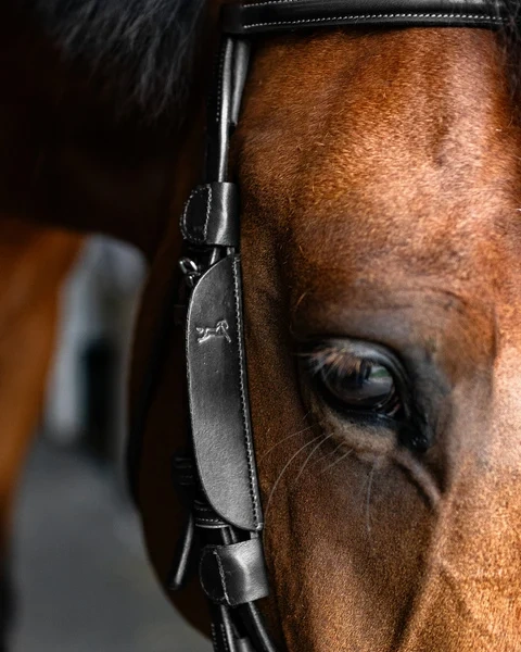 Zaślepki ograniczające pole widzenia Fager Focus Blinkers