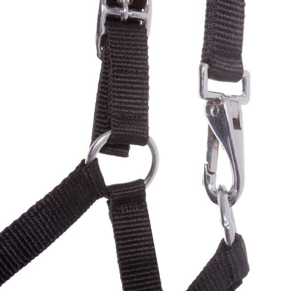 Kantar dla źrebaka Kavalkade