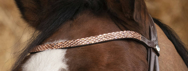 Ogłowie z nachrapnikiem kombinowanym Norton Pro Brilliant