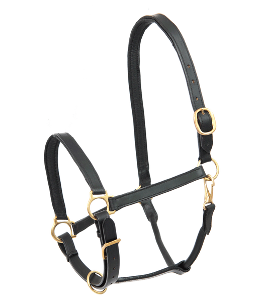 Kantar skórzany Star Robust