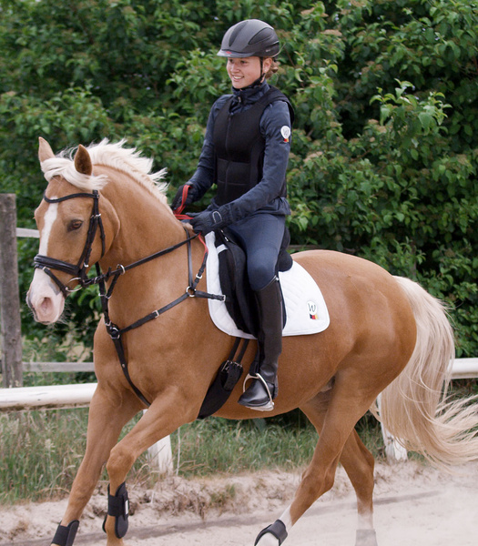 Napierśnik z uchwytem bezpieczeństwa Waldhausen X-line Secutrust