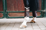 Ochraniacze treningowe z futrem na przednie nogi Kentucky Horsewear Turnout Boots Solimbra