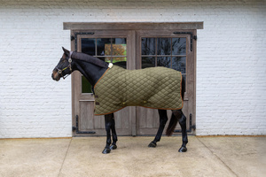 Derka stajenna Kentucky Horsewear Wave 160g