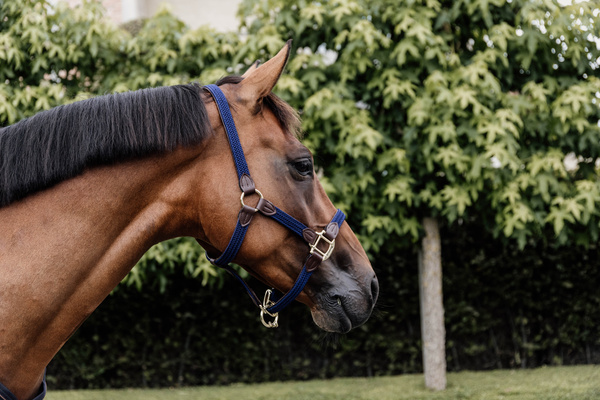 Kantar dla konia Kentucky Horsewear Plaited Nylon