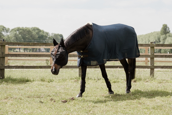 Derka siatkowa przeciw owadom Kentucky Horsewear Mesh Fly Sheet