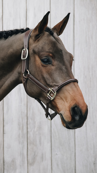 Kantar anatomiczny Kentucky Horsewear Anatomic Leather Halter