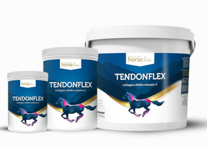 Suplement wspierający układ ruchu HorseLine TendonFlex