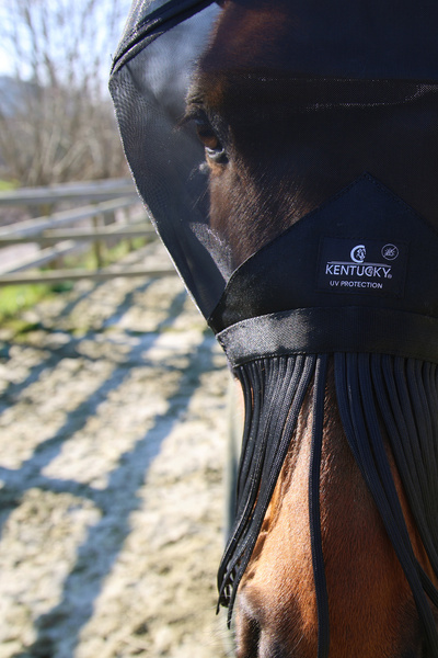 Maska przeciw owadom z odpinanymi frędzelkami Kentucky Horsewear Classic