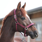 Kantar Kavalkade Classic Simple